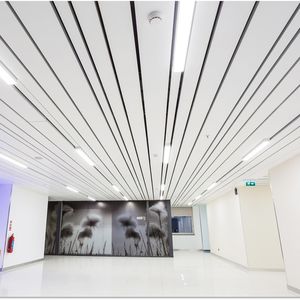 galvanized steel suspended ceiling