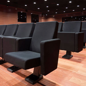 contemporary auditorium seating