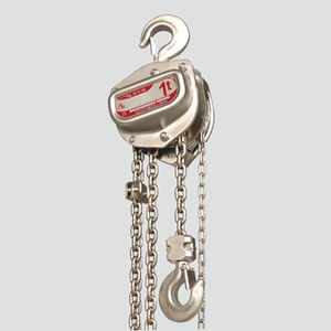 chain hoist 1