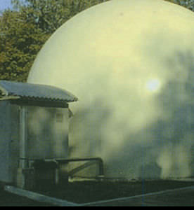 inflatable structure