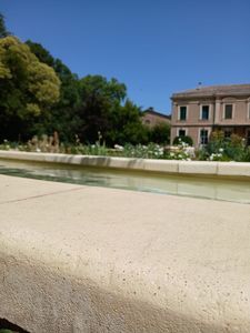 concrete swimming pool coping 1