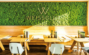 preserved green wall