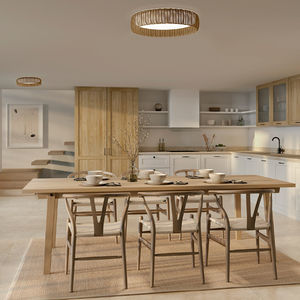 contemporary ceiling light