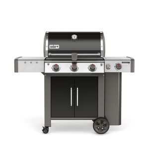gas barbecue
