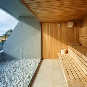 infrared sauna / commercial / wooden / steam