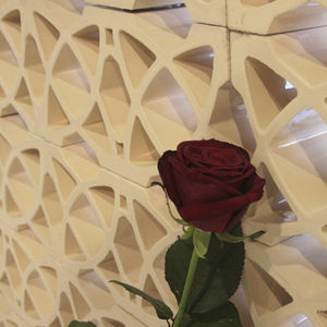 terracotta solar shading 1