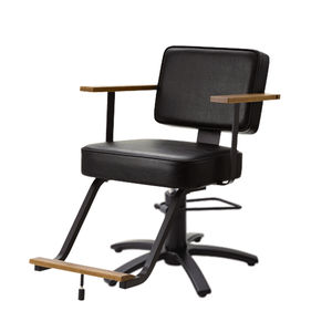contemporary beauty salon chair