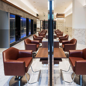 contemporary beauty salon chair