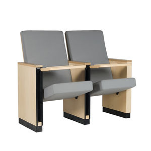 contemporary auditorium seating