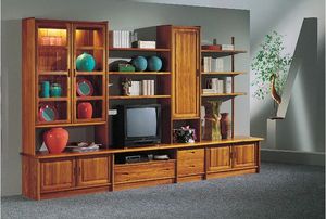 contemporary TV wall unit