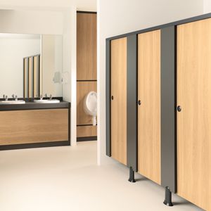 public washroom toilet cubicle