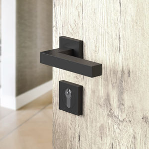 door handle 1