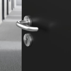 door handle 1