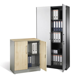 tall filing cabinet / wooden / steel / with hinged door