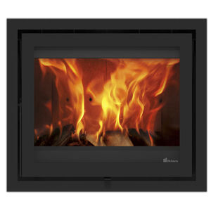wood-burning fireplace insert 1