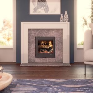wood-burning fireplace insert 1