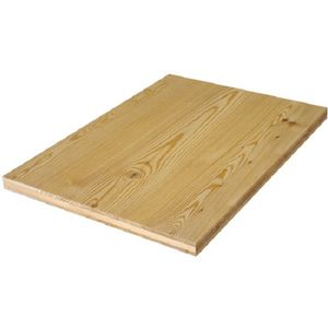 plywood construction panel