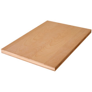 plywood construction panel