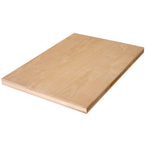 plywood construction panel