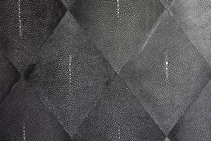 interior decorative panel