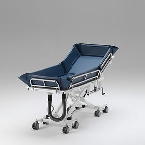 handicapped shower trolley