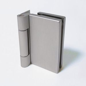 glass door hinge 1