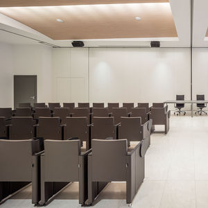contemporary auditorium seating