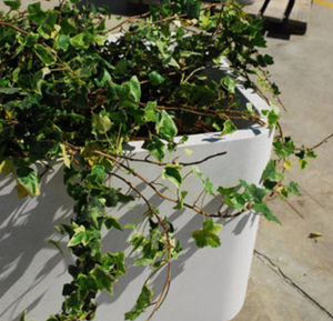 concrete planter