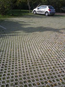 grass grid 1