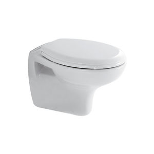 wall-hung toilet