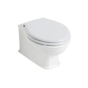 wall-hung toilet