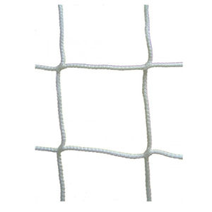 sports facility safety net