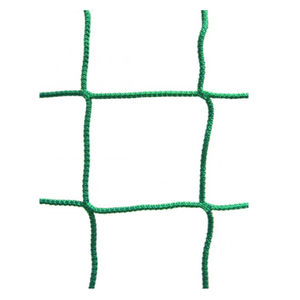 sports facility safety net