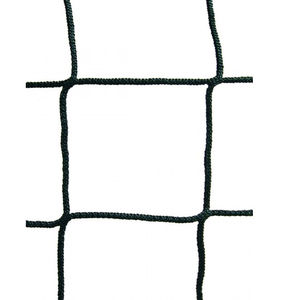 sports facility safety net