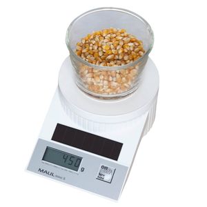 home scale