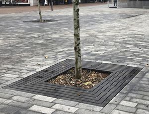 square tree grate