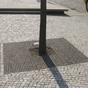 square tree grate