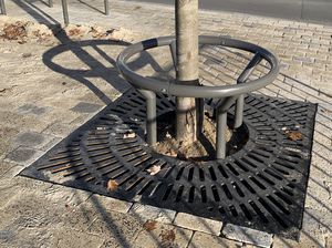 square tree grate