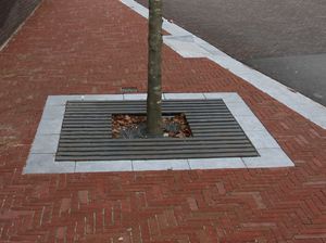 square tree grate