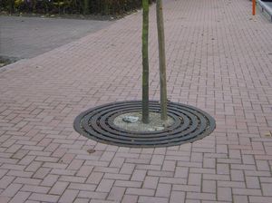 round tree grate