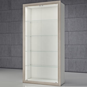 contemporary display case