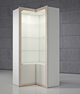 contemporary display case