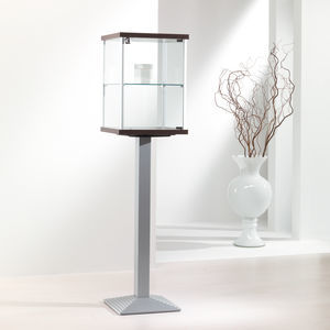 contemporary display case