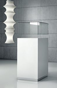contemporary display case 1