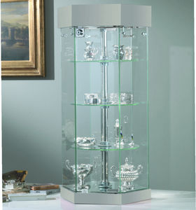 contemporary display case 1