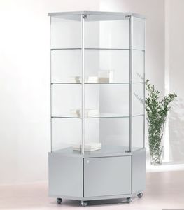 contemporary display case