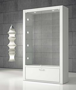 contemporary display case 1