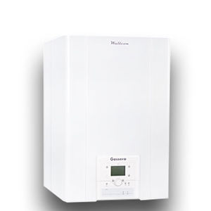 gas boiler 1