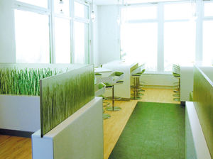 plastic decorative panel / for interior / translucent / commercial