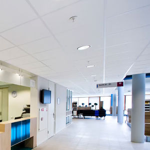 stone wool suspended ceiling